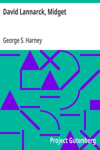 Cover of David Lannarck, Midget An Adventure Story — Background and Themes